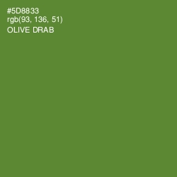 #5D8833 - Olive Drab Color Image